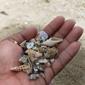 Meet your Posher, Keely